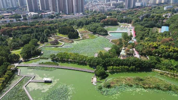 合集武汉月湖风景区4K航拍