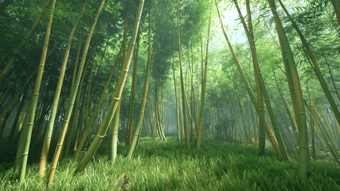 国风竹林动态背景大屏春夏竹林植物大自然