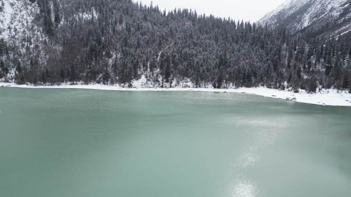 冬天森林里湖上的雪景