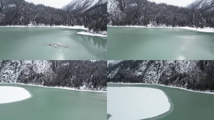 冬天森林里湖上的雪景