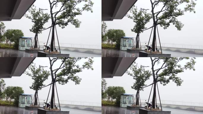 杭州钱塘江江东大桥下暴雨视频素材