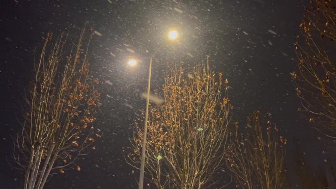 夜晚路灯下雪