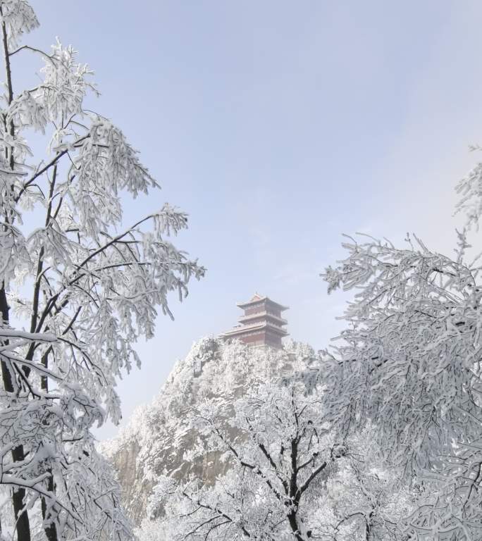 秦岭五台山雾凇雪松视频25