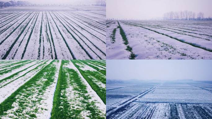 5K大雪覆盖的村庄田野