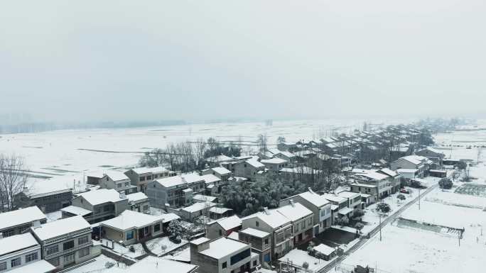 农村田野雪景