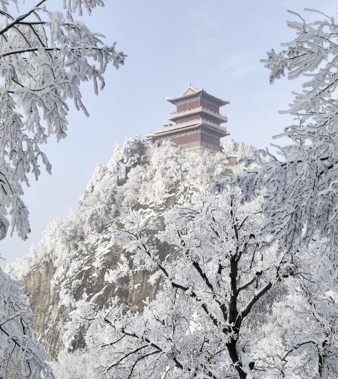 秦岭五台山雾凇雪松视频26