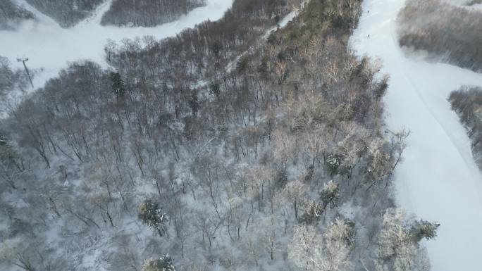 冬天长白山滑雪场人群跟拍