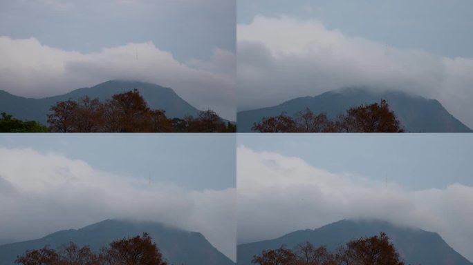 云中的深圳梧桐山