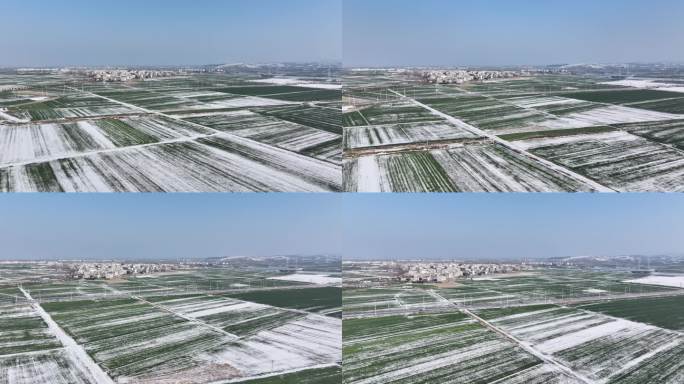 航拍冬天雪景农村村庄麦田麦地农作物庄稼