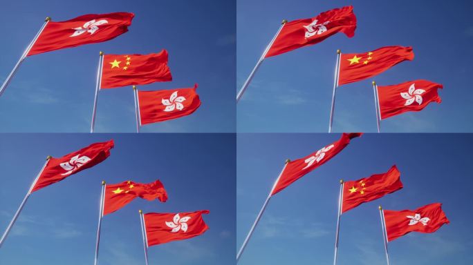 香港区旗香港特别行政区