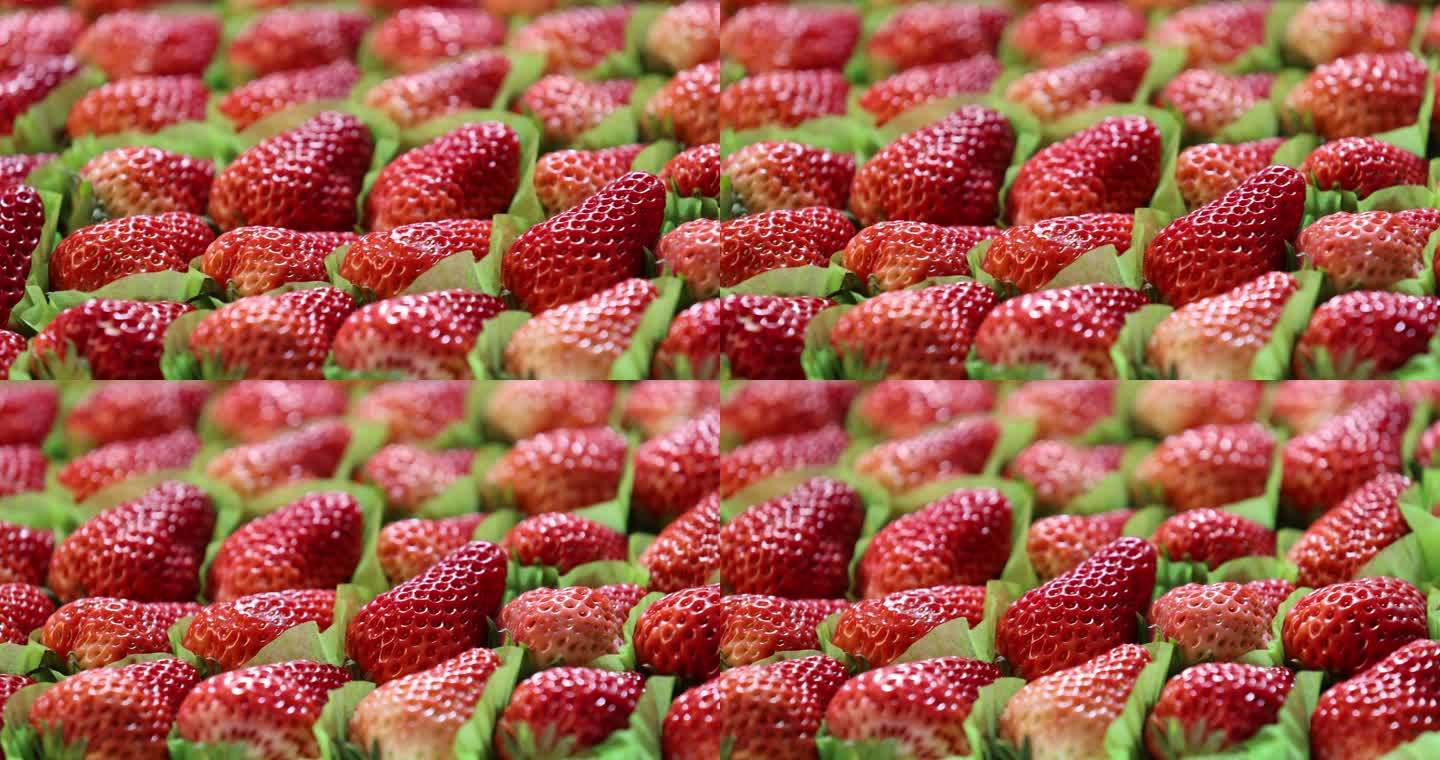 排列整齐的高品质水果草莓展示