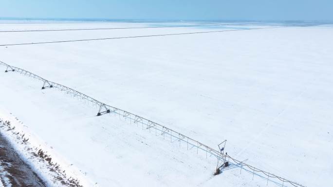 北方平原雪景 高标准农田的雪景
