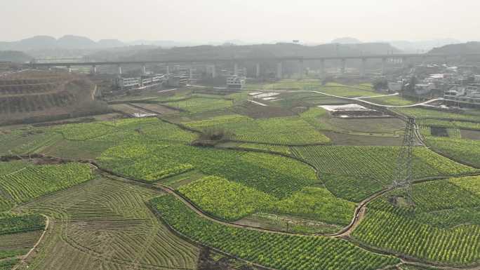 美丽乡村农村新景