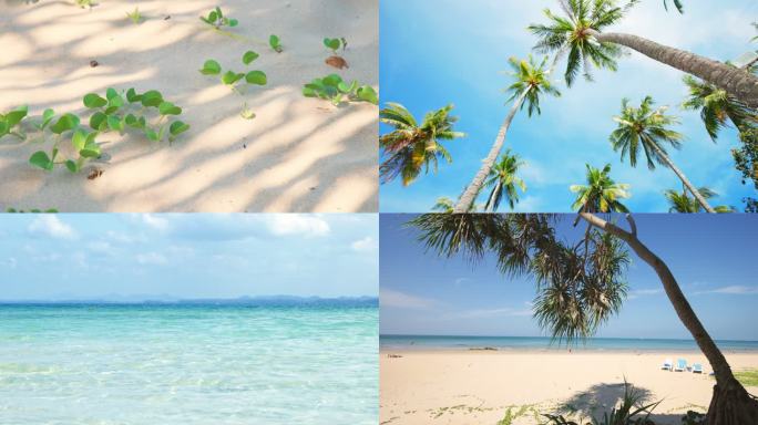 海边风景，海水海浪，椰子树，海水