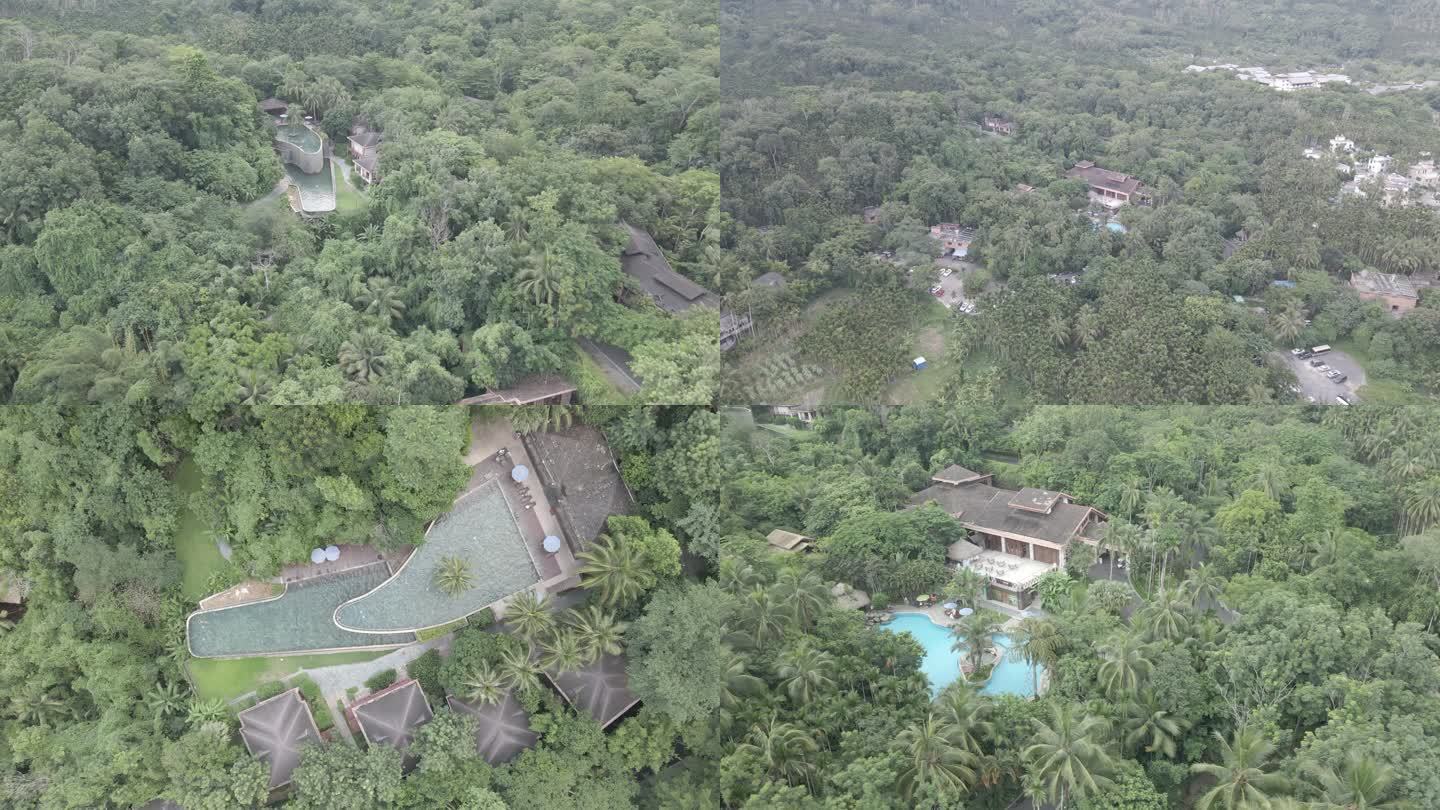【4K】热带雨林森林度假酒店休闲会所泳池