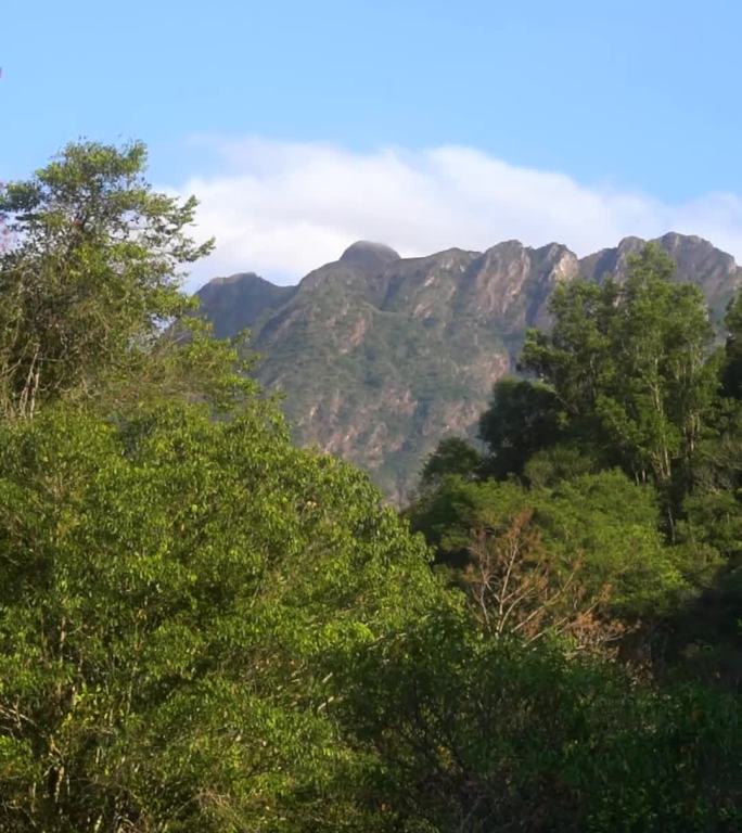 山 野营地 森林 山路 风吹草动 阳光路