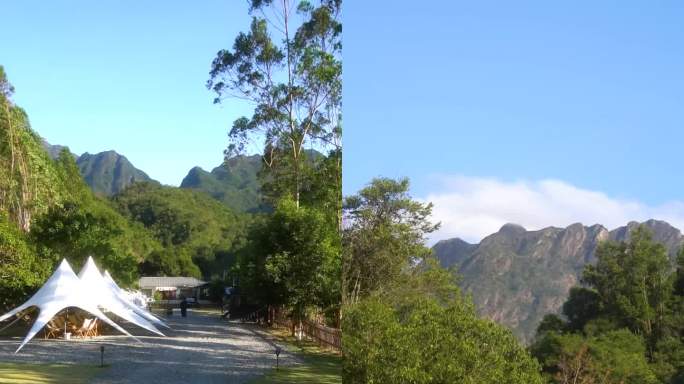 山 野营地 森林 山路 风吹草动 阳光路