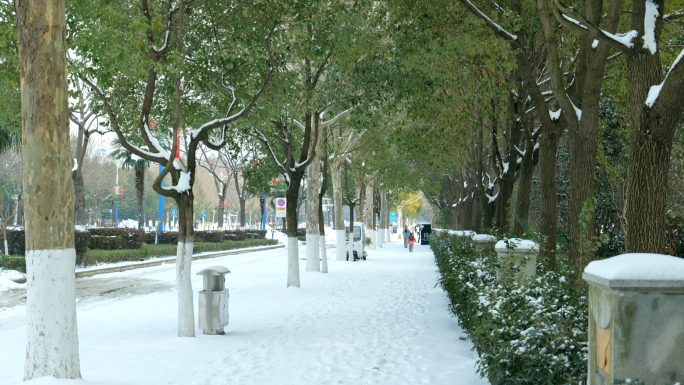 城市雪景街道实拍