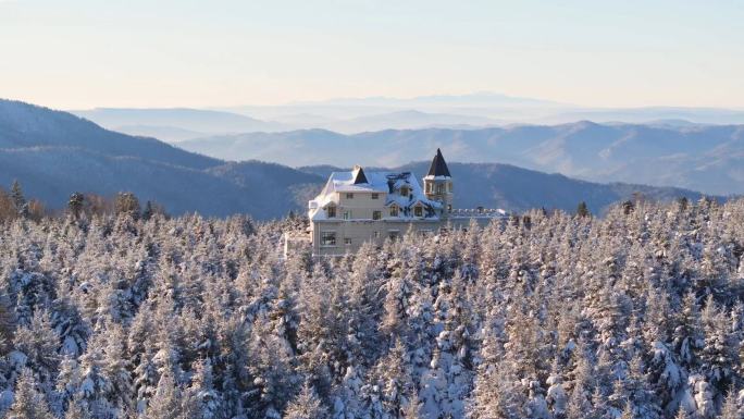 冰雪森林树木雪景城堡