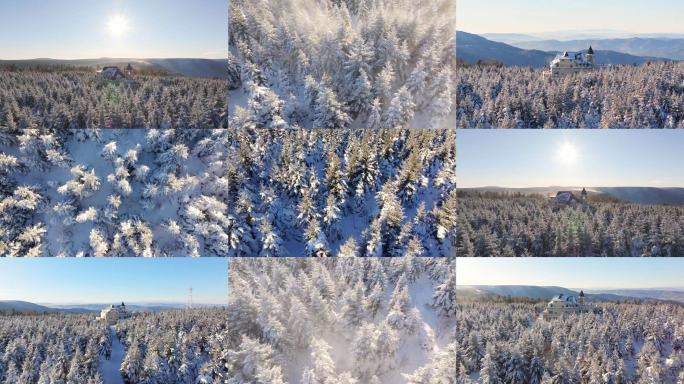 冰雪森林树木雪景城堡