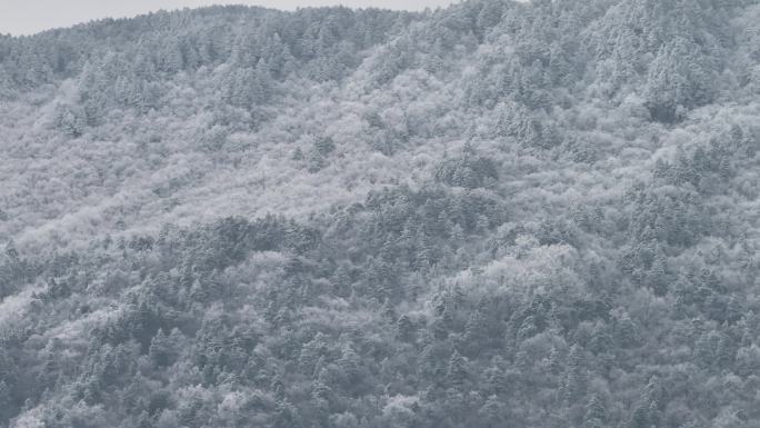 浙西天池 江南第一池 杭州 雪山 雾凇