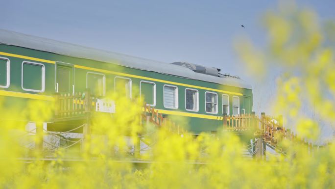 昆明市晋宁区沙堤村油菜花海