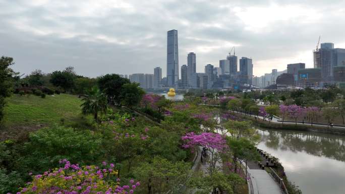 深圳人才公园大黄鸭