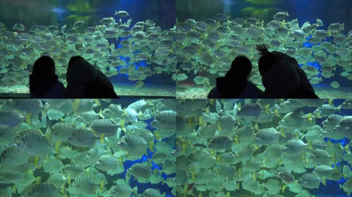 海洋馆海底世界母女在观赏鱼群