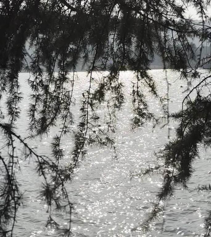 无锡鼋头渚自然风光拍摄