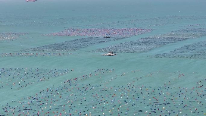 广东汕头：壮观的海洋牧场养殖区