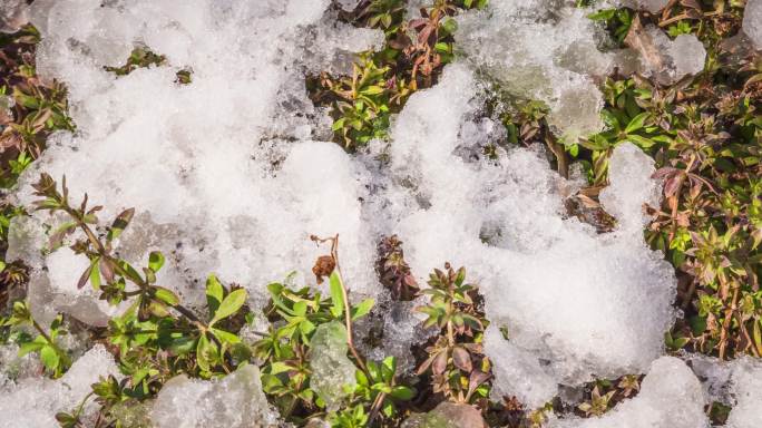 冰雪消融的过程春天来了