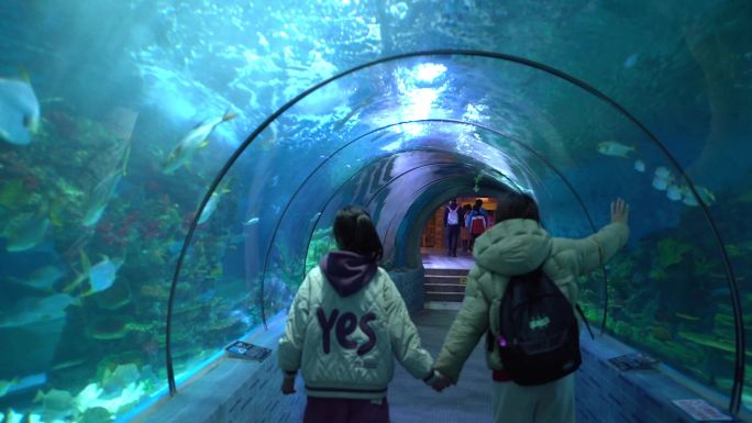母女走过海洋馆海底世界海底隧道