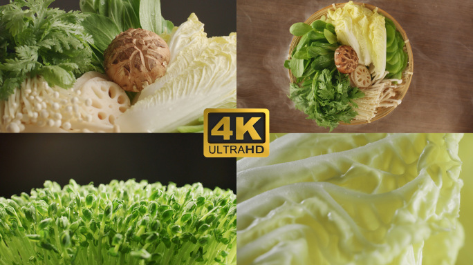 4K蔬菜拼盘豆芽菜食材特写展示火锅打边炉
