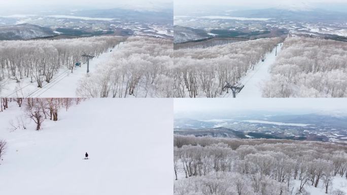 北海道雪景