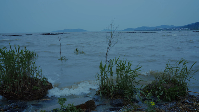 抑郁阴郁类湖边海边视频素材悲伤逆流成河