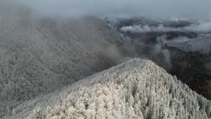 航拍秋季雪后的四姑娘山