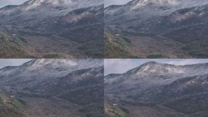 浙西天池 江南第一池 杭州 雪山 雾凇