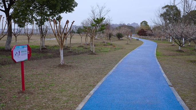 公园跑道 蓝色跑道 跑道