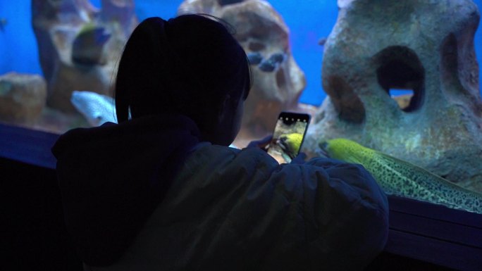 小女孩在海洋馆海底世界拍海洋生物