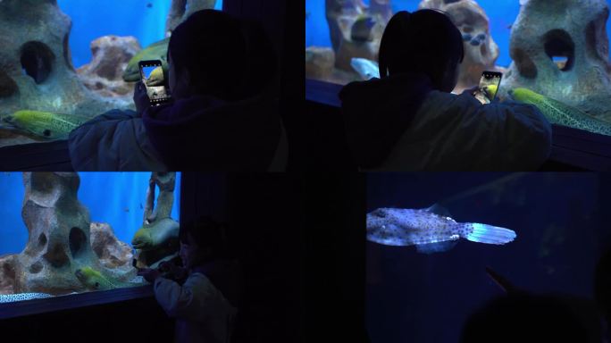 小女孩在海洋馆海底世界拍海洋生物
