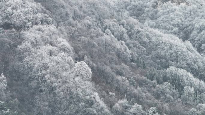 浙西天池 江南第一池 杭州 雪山 雾凇