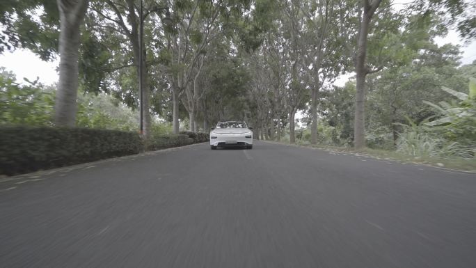 【4K】小鹏P7在海南岛热带森林公路路跑