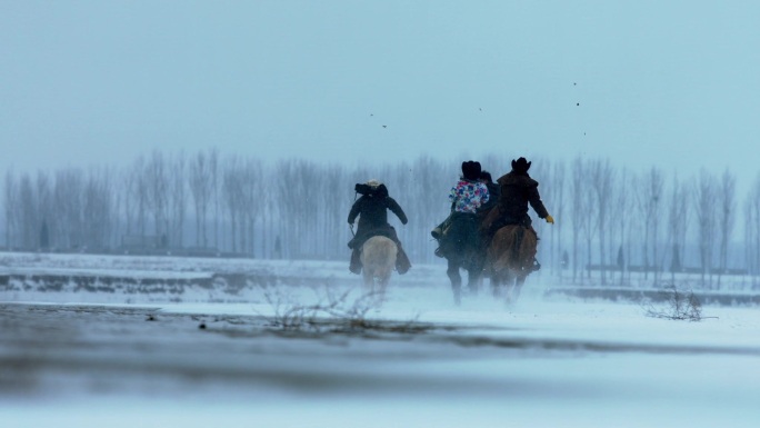 雪山东北雪地骑马赛马奔马骏马飞奔快马扬鞭