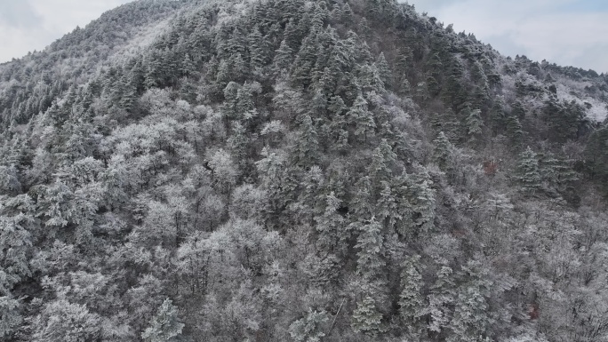 浙西天池 江南第一池 杭州 雪山 雾凇