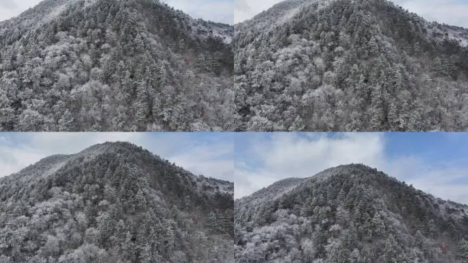 浙西天池 江南第一池 杭州 雪山 雾凇