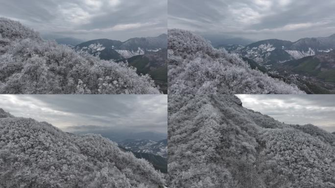 浙西天池 江南第一池 杭州 雪山 雾凇