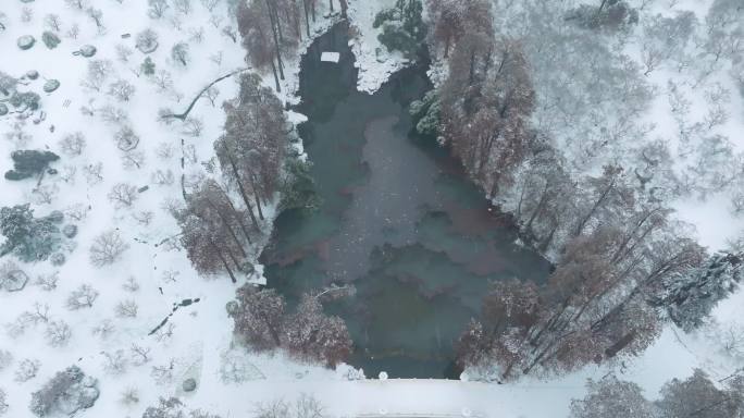 武汉东湖风景区梅园雪景风光