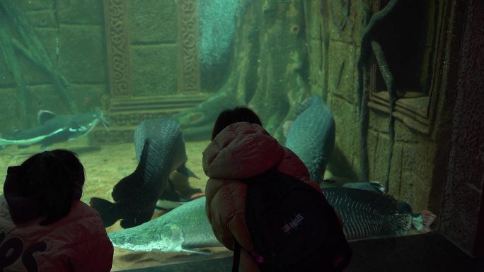 海洋馆海底世界母女在看巨骨舌鱼