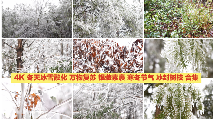 冰雪融化冻雪消融万物复苏