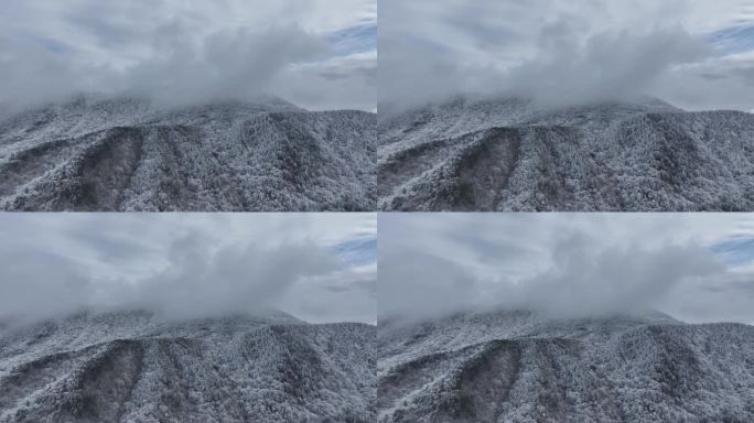 浙西天池 江南第一池 杭州 雪山 雾凇